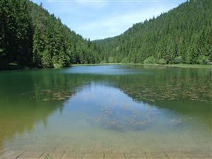 TML_3140_001, 2014_09_01, č. 01